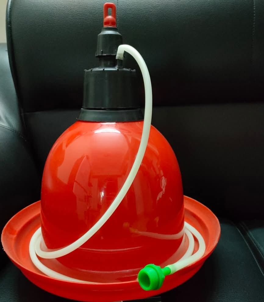 বেল ড্রিংকার